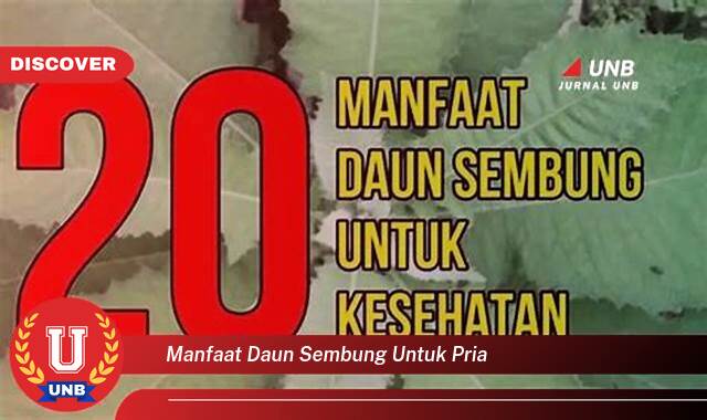 10 Manfaat manfaat daun sembung untuk pria yang tidak Semua Orang Tau