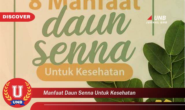 Temukan 10 Manfaat Daun Senna untuk Kesehatan Tubuh Anda Secara Alami