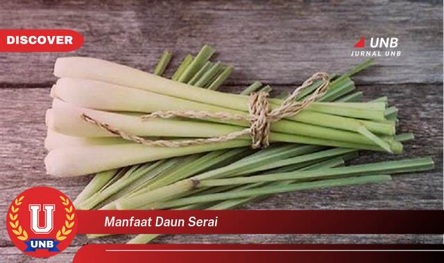 Temukan 8 Manfaat Daun Serai untuk Kesehatan Tubuh Anda Temukan 8 Manfaat Daun Serai untuk Kesehatan Tubuh Anda