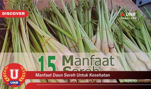 Temukan 9 Manfaat manfaat daun sereh untuk kesehatan yang Jarang Diketahui
