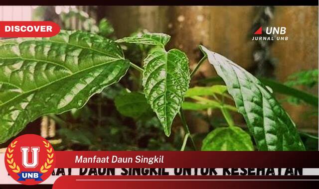 Temukan 9 Manfaat Daun Singkil untuk Kesehatan, Dari Akar Hingga Daun