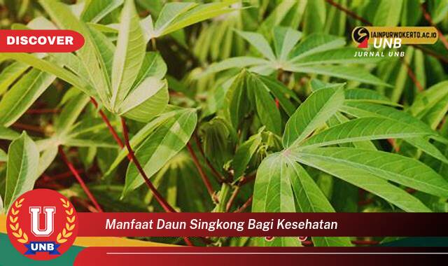 Temukan 10 Manfaat Daun Singkong bagi Kesehatan,  Khasiat Luar Biasa yang Jarang Diketahui