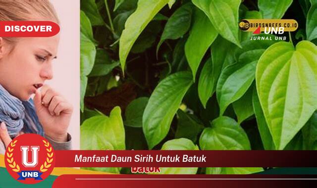 9 Manfaat manfaat daun sirih untuk batuk yang Wajib kamu ketahui