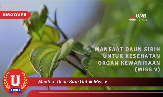 Temukan 10 Manfaat Daun Sirih untuk Miss V, Solusi Alami Atasi Keputihan, Gatal, dan Bau Tidak Sedap