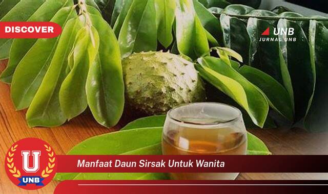 Temukan 9 Manfaat Daun Sirsak untuk Wanita, Atasi Nyeri Haid, Lancarkan ASI, dan Cegah Kanker