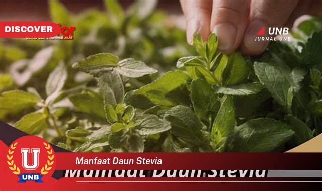 Temukan 9 Manfaat Daun Stevia, Pengganti Gula Alami yang Menyehatkan untuk Diet Anda