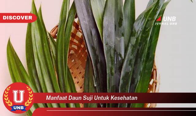 Temukan 8 Manfaat Daun Suji untuk Kesehatan Tubuh Anda Secara Alami