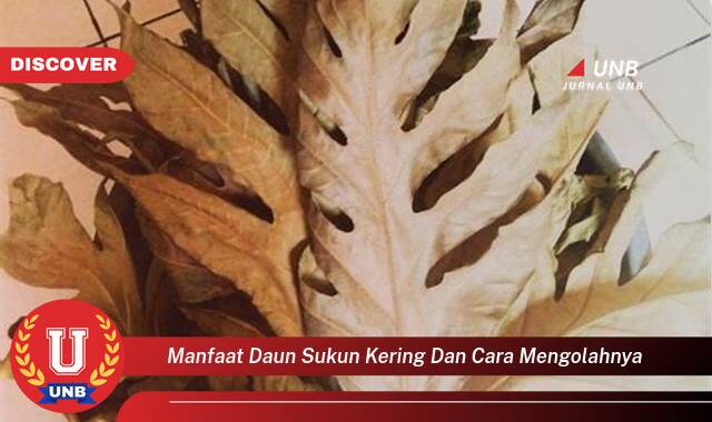 Temukan 8 Manfaat Daun Sukun Kering untuk Kesehatan dan Cara Mengolahnya Menjadi Obat Alami