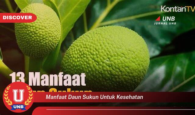 Temukan 10 Manfaat Daun Sukun untuk Kesehatan,  Obat Alami untuk Berbagai Penyakit