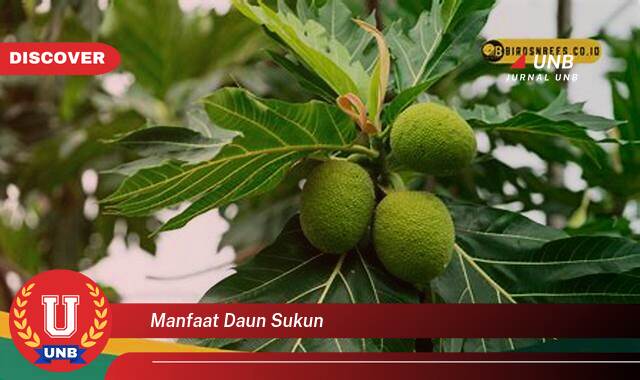 Temukan 8 Manfaat Daun Sukun untuk Kesehatan, Kecantikan, dan Lainnya