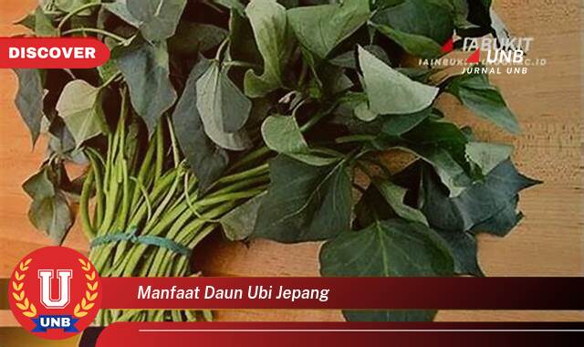 Ketahui 9 Manfaat manfaat daun ubi jepang yang Jarang Diketahui