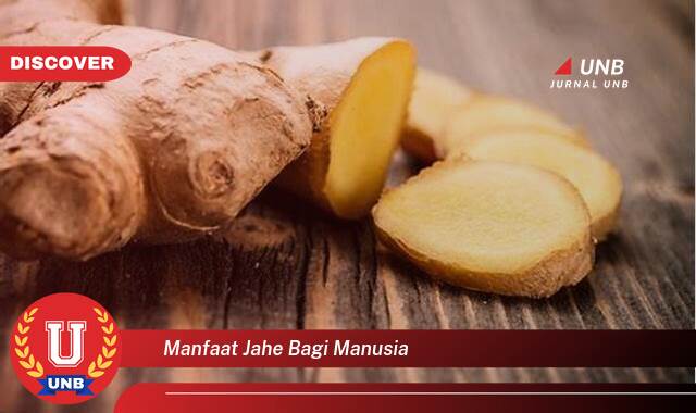 Inilah 9 Manfaat manfaat jahe bagi manusia yang Jarang Diketahui