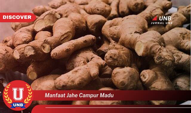 Inilah 10 Manfaat manfaat jahe campur madu yang Wajib Kamu Intip