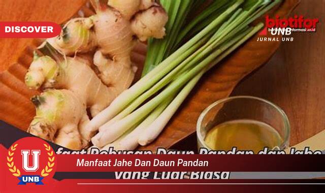 9 Manfaat manfaat jahe dan daun pandan yang Wajib Kamu Intip