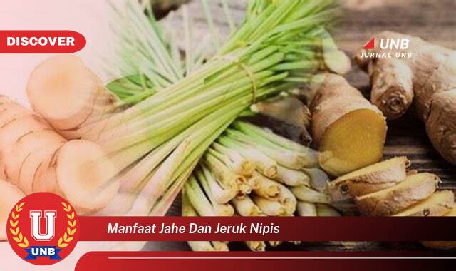 Temukan 10 Manfaat Jahe dan Jeruk Nipis untuk Kesehatan Anda