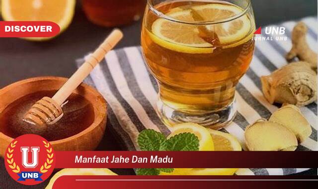 Temukan 10 Manfaat Jahe dan Madu untuk Kesehatan Tubuh Anda