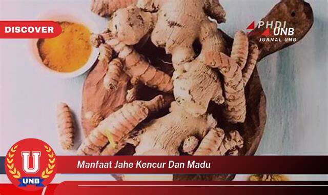 Ketahui 10 Manfaat manfaat jahe kencur dan madu yang Wajib Kamu Intip