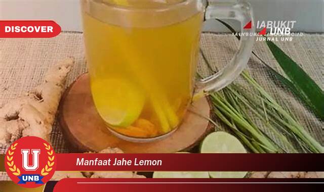 Inilah 9 Manfaat manfaat jahe lemon yang Wajib Kamu Intip