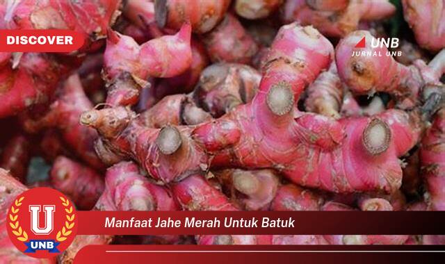 Inilah 10 Manfaat Jahe Merah untuk Batuk yang Wajib Kamu Intip