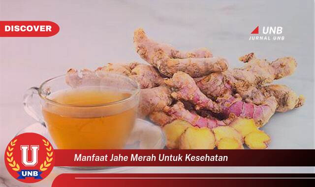 Temukan 10 Manfaat Jahe Merah untuk Kesehatan, Dari Sistem Imun hingga Pencernaan Temukan 10 Manfaat Jahe Merah untuk Kesehatan, Dari Sistem Imun hingga Pencernaan