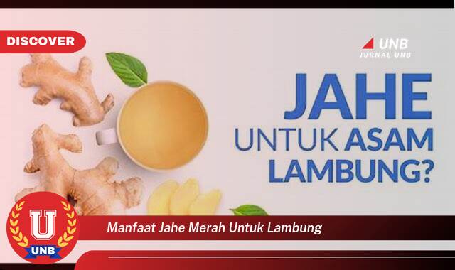Inilah 10 Manfaat manfaat jahe merah untuk lambung yang tidak Semua Orang Tau