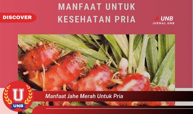 Temukan 8 Manfaat Jahe Merah untuk Pria, Meningkatkan Stamina, Vitalitas, dan Kesehatan