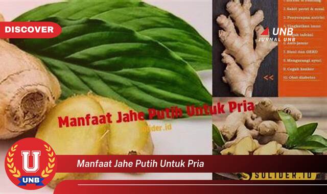 Temukan 8 Manfaat manfaat jahe putih untuk pria yang Wajib Kamu Intip
