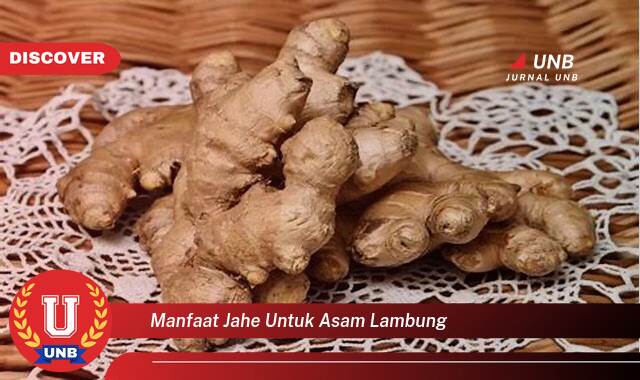 Temukan 8 Manfaat Jahe untuk Asam Lambung, Redakan Nyeri dan Mulas Secara Alami