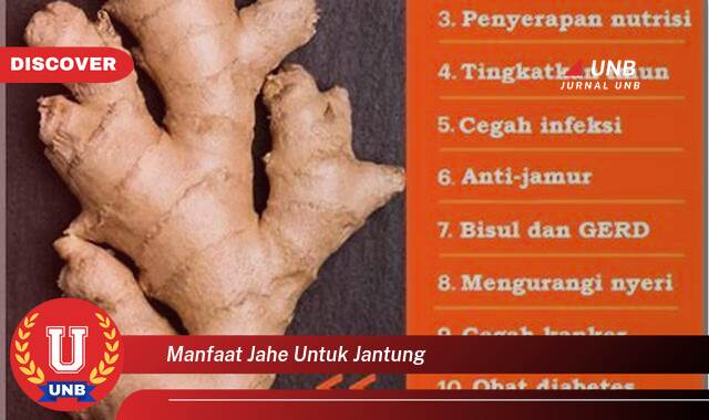 8 Manfaat manfaat jahe untuk jantung yang Bikin Kamu Penasaran