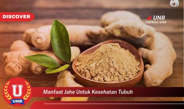 Temukan 8 Manfaat manfaat jahe untuk kesehatan tubuh yang Jarang Diketahui