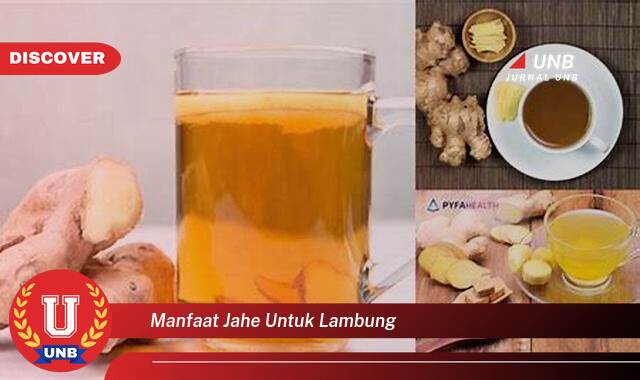 Temukan 8 Manfaat Jahe untuk Lambung, Redakan Mual, Kembung, dan Gangguan Pencernaan Lainnya