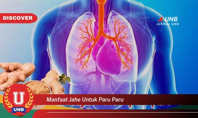 Ketahui 8 Manfaat manfaat jahe untuk paru paru yang Wajib Kamu Intip