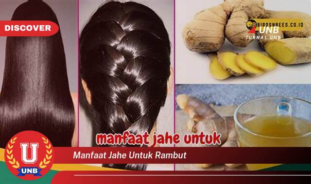 Temukan 9 Manfaat Jahe untuk Rambut,  Stimulasi Pertumbuhan dan Atasi Kerontokan