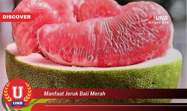 Ketahui 9 Manfaat Jeruk Bali Merah yang Jarang Diketahui