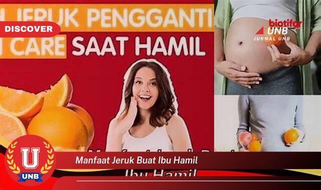 Inilah 9 Manfaat manfaat jeruk buat ibu hamil yang Jarang Diketahui