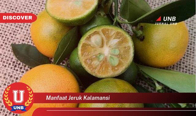 Temukan 10 Manfaat manfaat jeruk kalamansi yang Bikin Kamu Penasaran