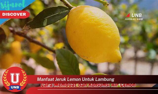 Temukan 10 Manfaat Jeruk Lemon untuk Lambung, Solusi Alami untuk Masalah Pencernaan Anda