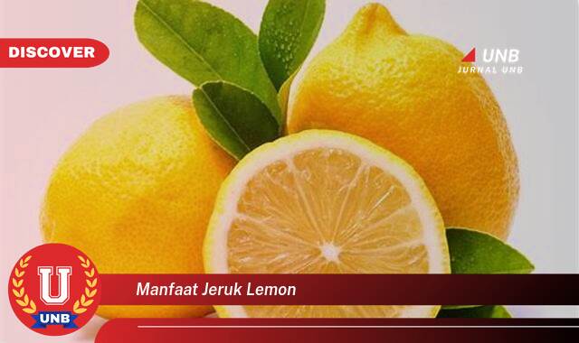 Temukan 9 Manfaat Jeruk Lemon untuk Kesehatan Tubuh Anda