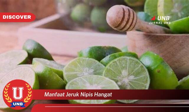 Temukan 9 Manfaat Jeruk Nipis Hangat untuk Kesehatan Tubuh Anda