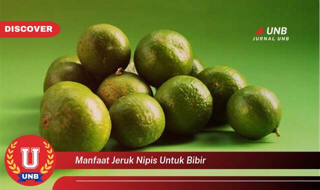 8 Manfaat manfaat jeruk nipis untuk bibir yang Wajib kamu ketahui