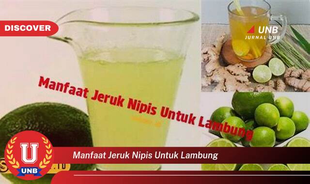 Temukan 10 Manfaat Jeruk Nipis untuk Lambung, Redakan Asam Lambung, Mual, dan Gangguan Pencernaan Lainnya