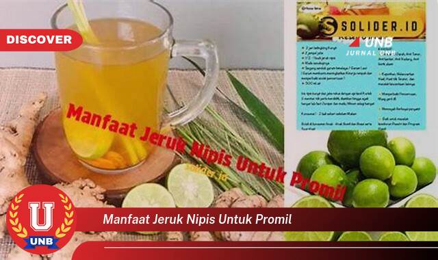 Temukan 8 Manfaat manfaat jeruk nipis untuk promil yang Bikin Kamu Penasaran