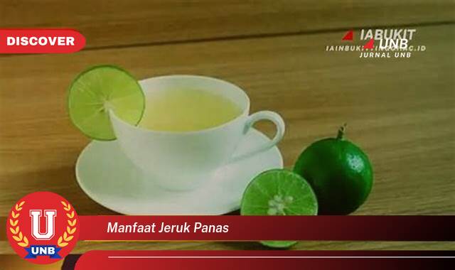 10 Manfaat manfaat jeruk panas yang Bikin Kamu Penasaran