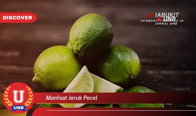 Temukan 8 Manfaat manfaat jeruk pecel yang Bikin Kamu Penasaran