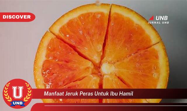 10 Manfaat manfaat jeruk peras untuk ibu hamil yang Wajib Kamu Intip
