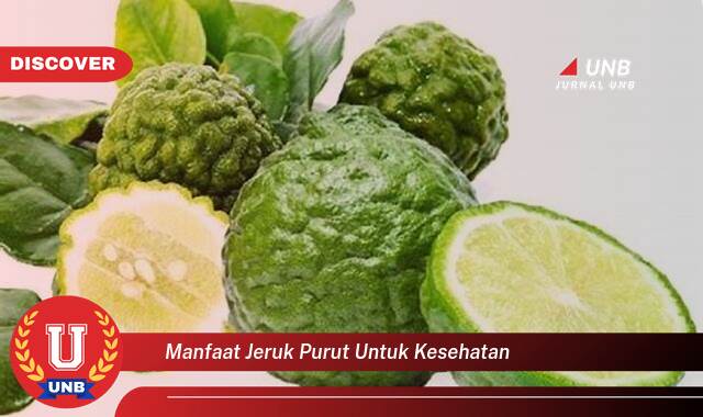 8 Manfaat manfaat jeruk purut untuk kesehatan yang Jarang Diketahui