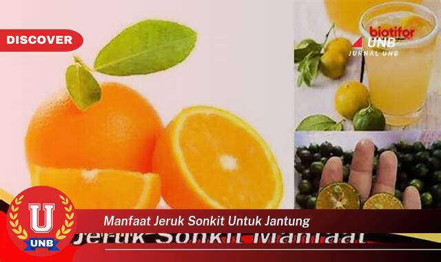 9 Manfaat manfaat jeruk sonkit untuk jantung yang Wajib Kamu Intip