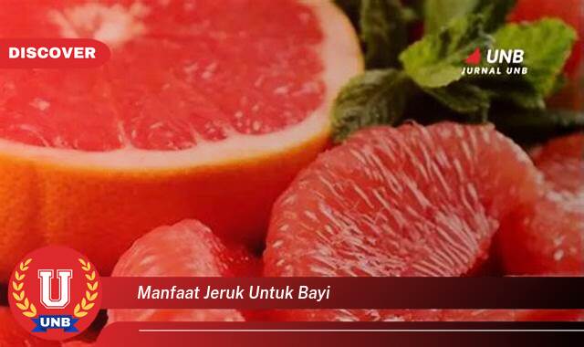 8 Manfaat manfaat jeruk untuk bayi yang Wajib Kamu Intip