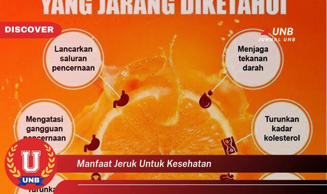 Temukan 9 Manfaat Jeruk untuk Kesehatan,  Dari Meningkatkan Imunitas Hingga Mencerahkan Kulit