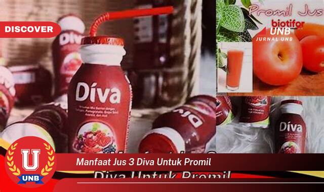 9 Manfaat manfaat jus 3 diva untuk promil yang Wajib kamu ketahui